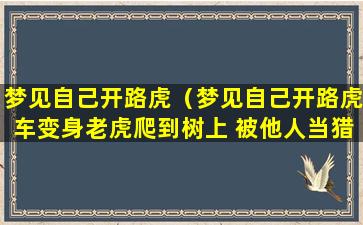 梦见自己开路虎（梦见自己开路虎车变身老虎爬到树上 被他人当猎物）